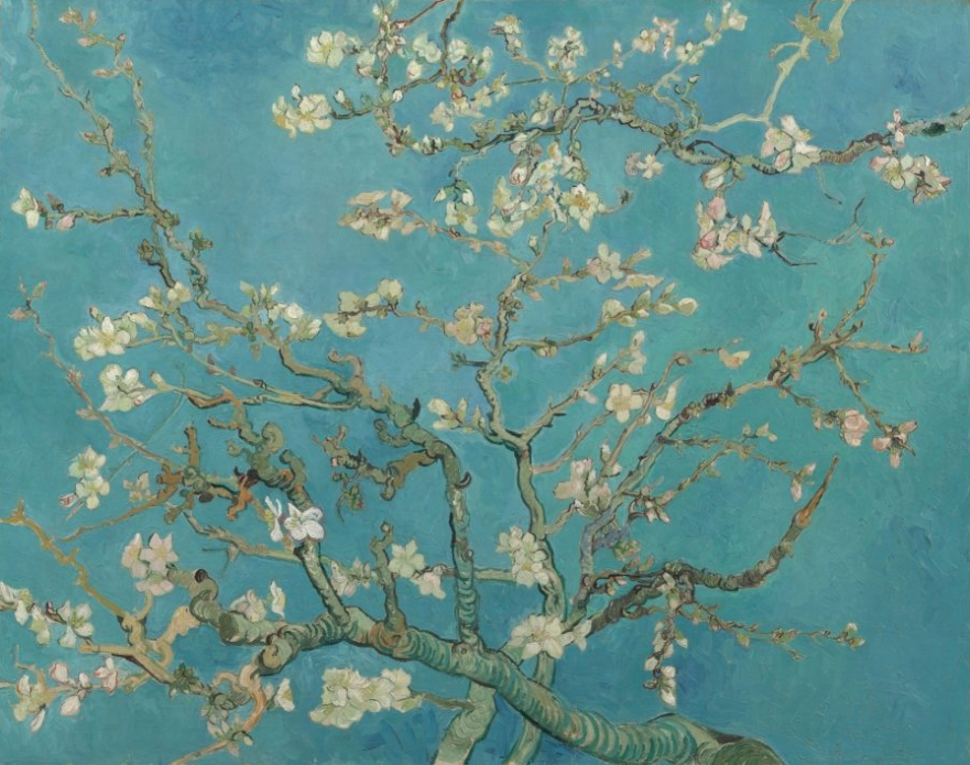 Almond Blossom