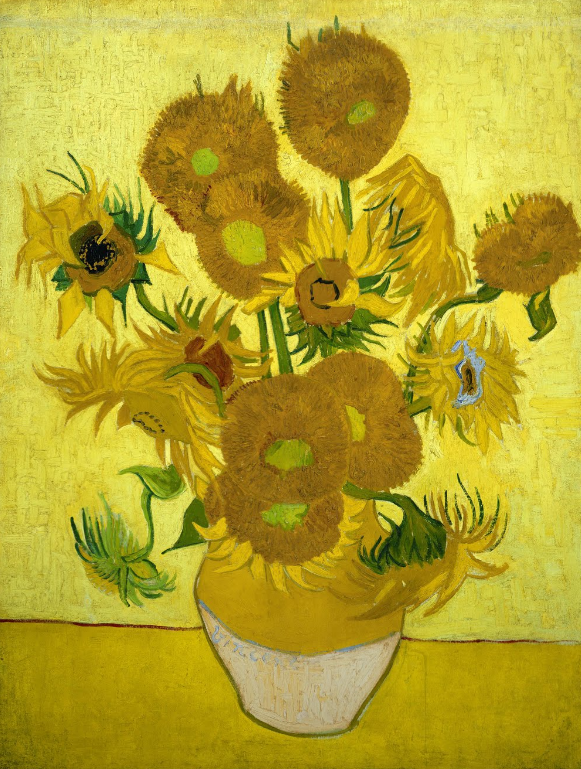 sunflower
